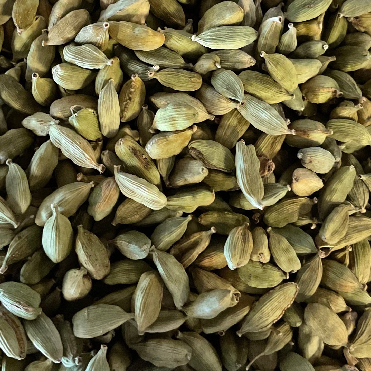 Cardamom Pods (green)