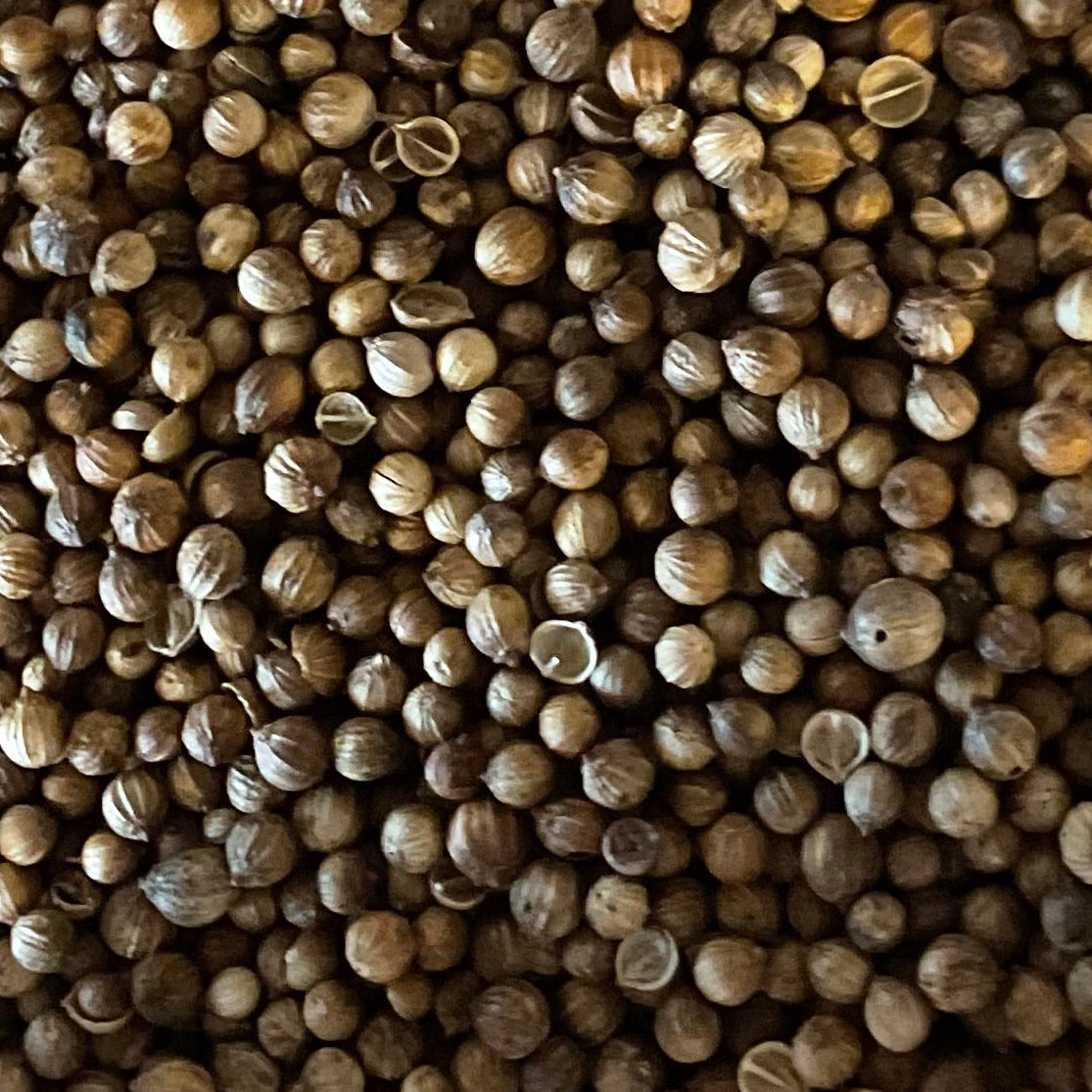 Coriander Seed