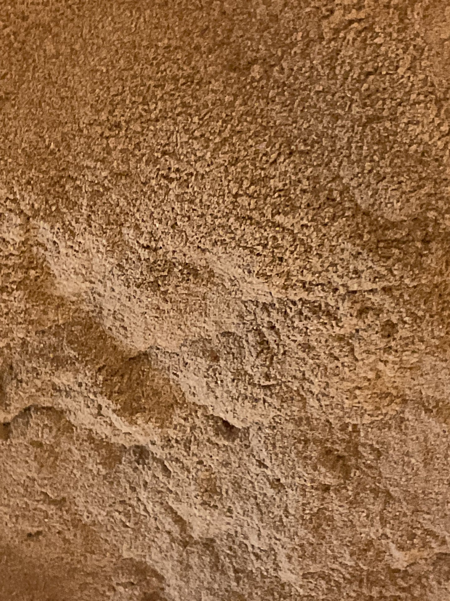 Ceylon Cinnamon powder