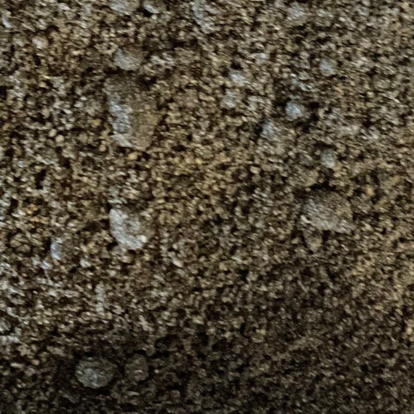 Black Seed Powder (cumin)