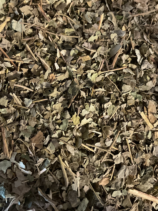 Moringa Leaf