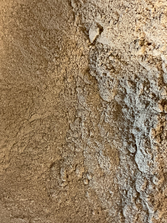 Maitake Mushroom , Powder