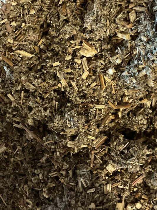 Mugwort
