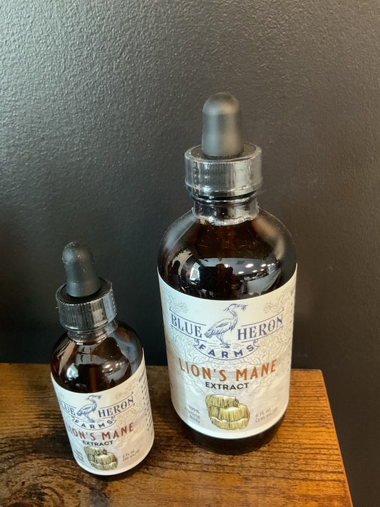 Lions Mane Tincture