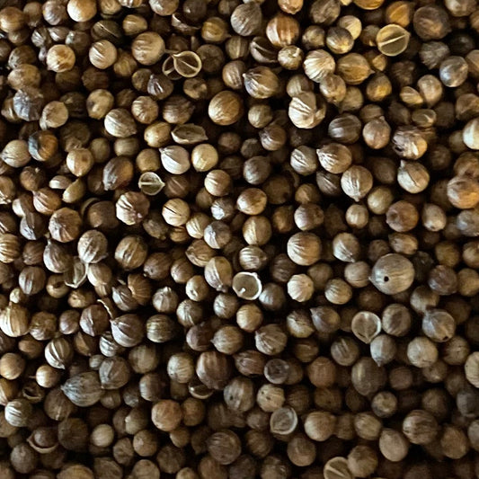 Coriander Seed
