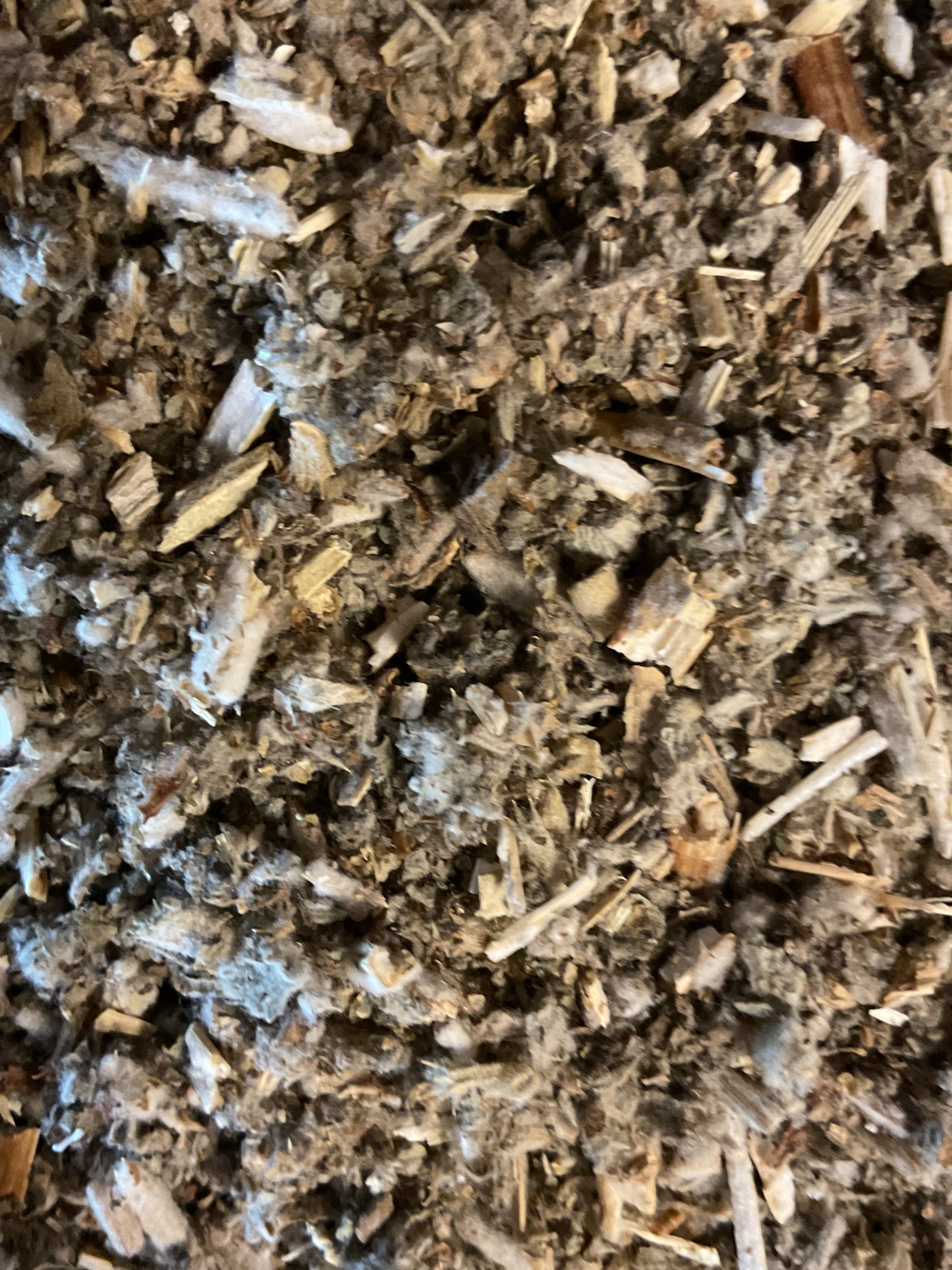 Horehound Herb