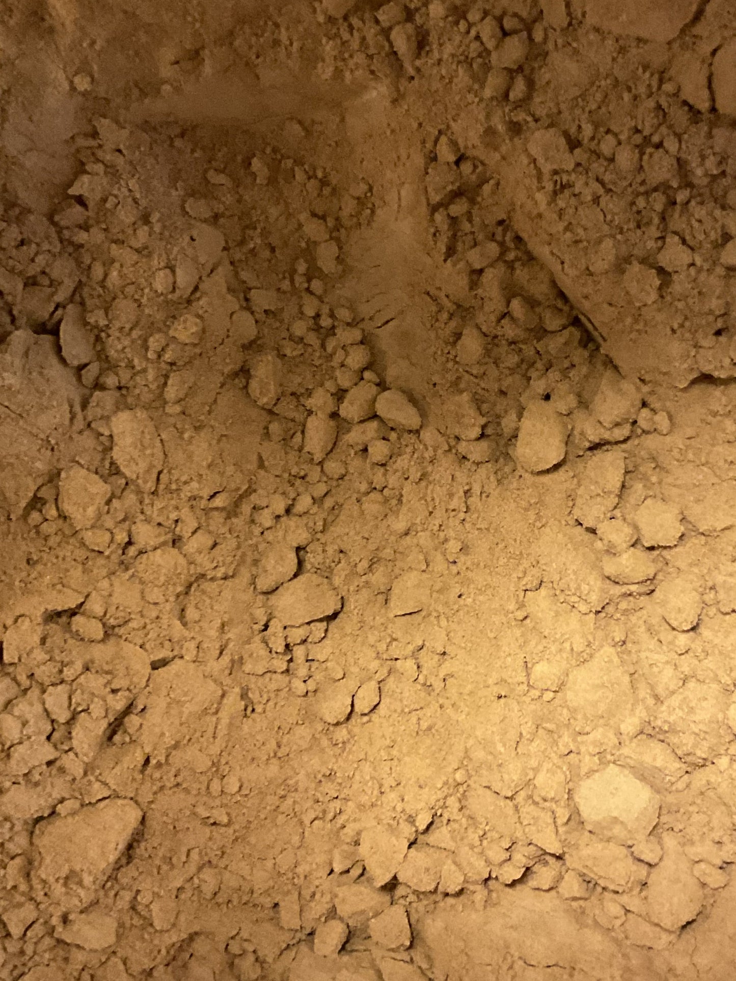 Rhodiola Root Powder