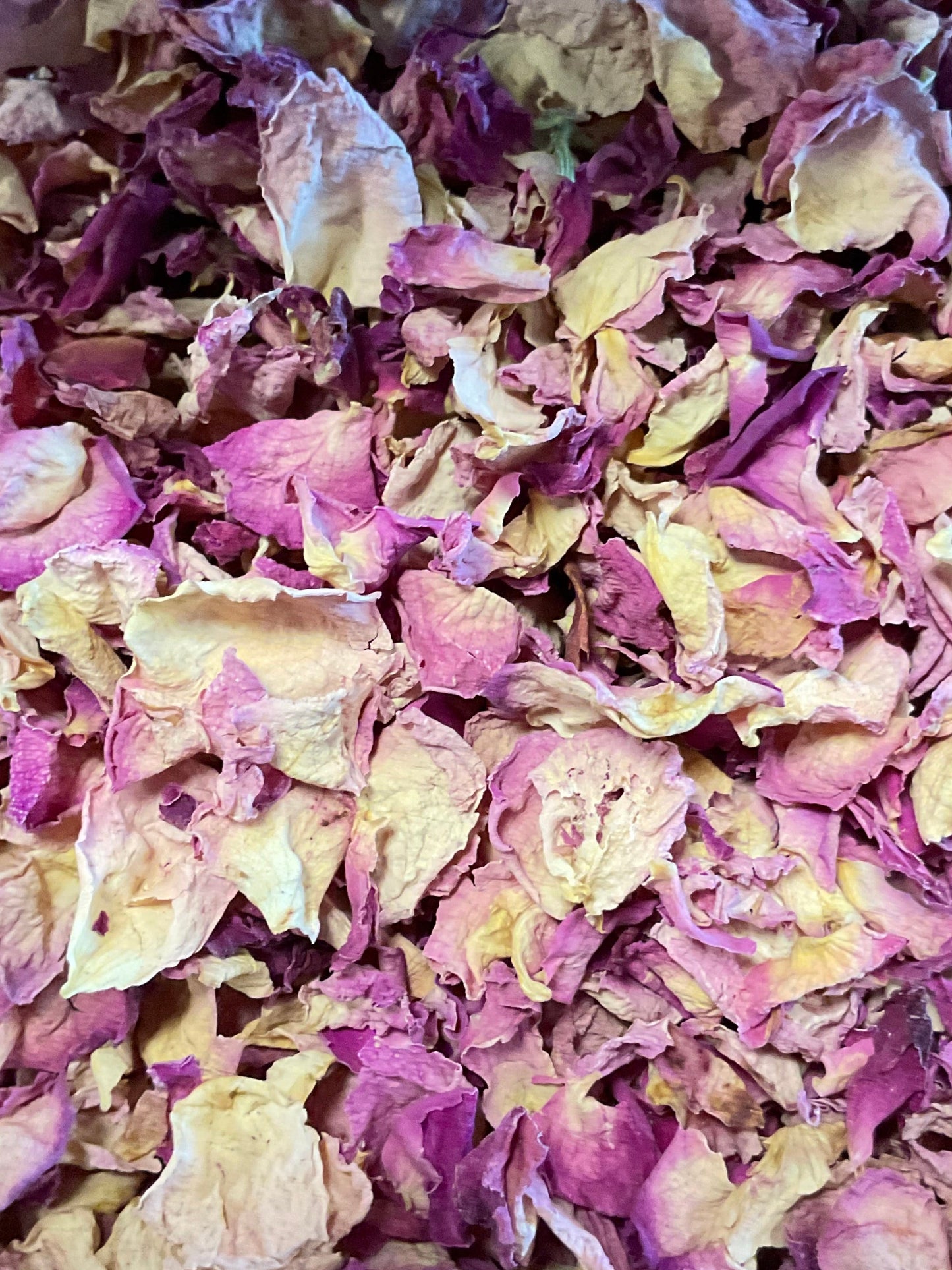 Rose Petals