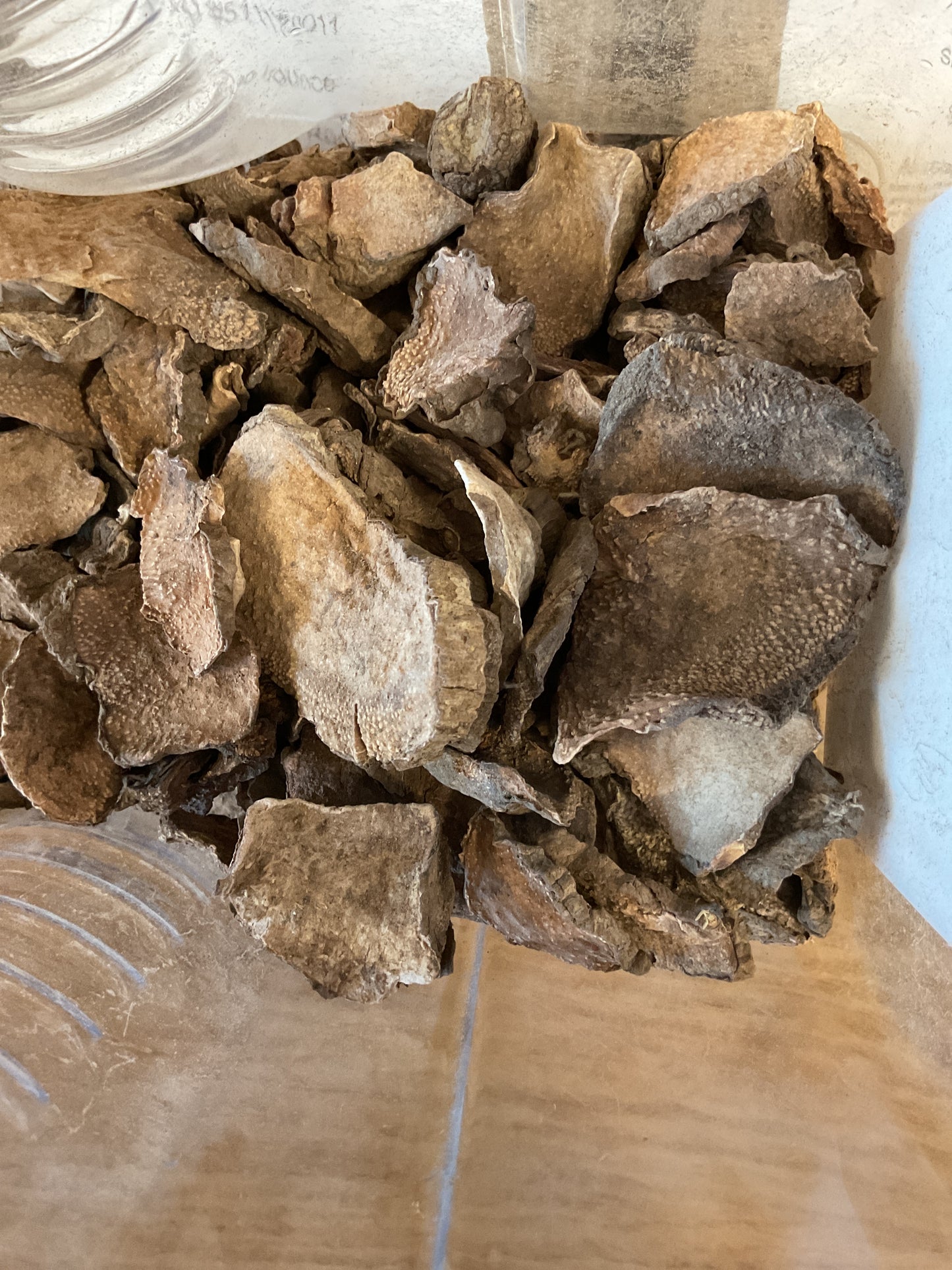 Barbasco (Mexican wild yam)