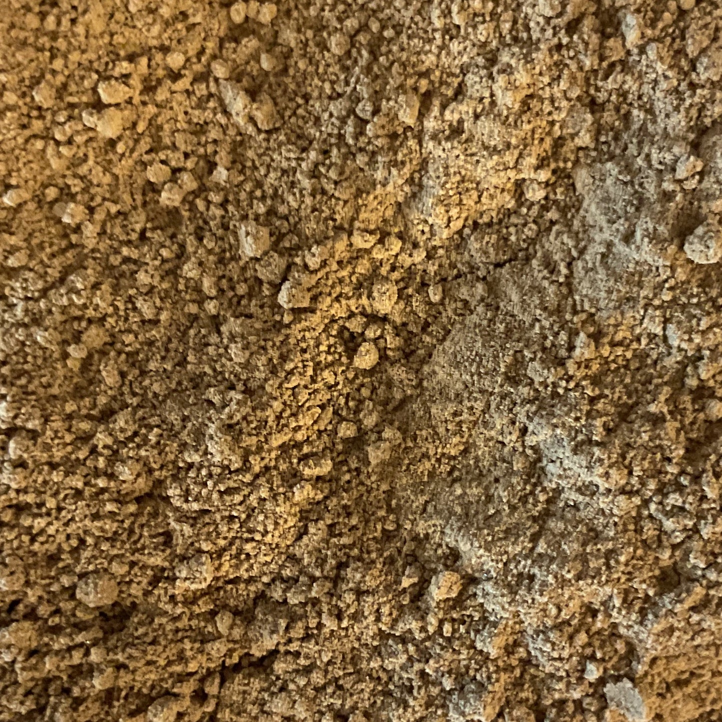 Chaga Mushroom Powder