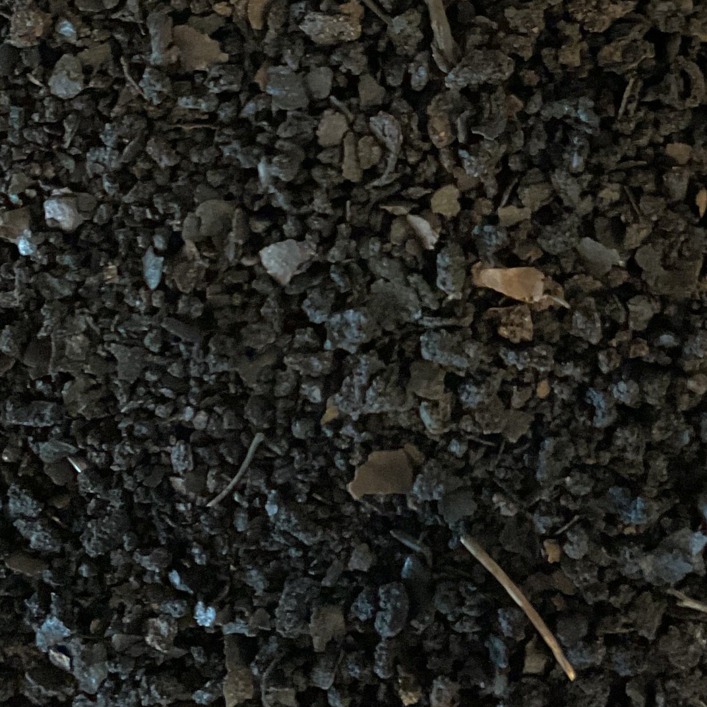 Black Walnut Hull (Powdered)