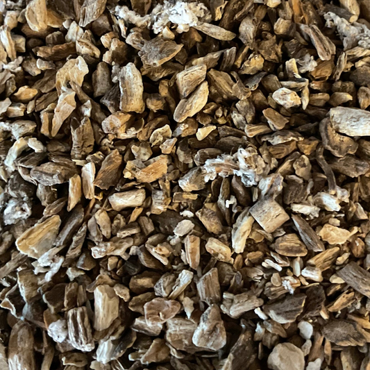 Burdock Root