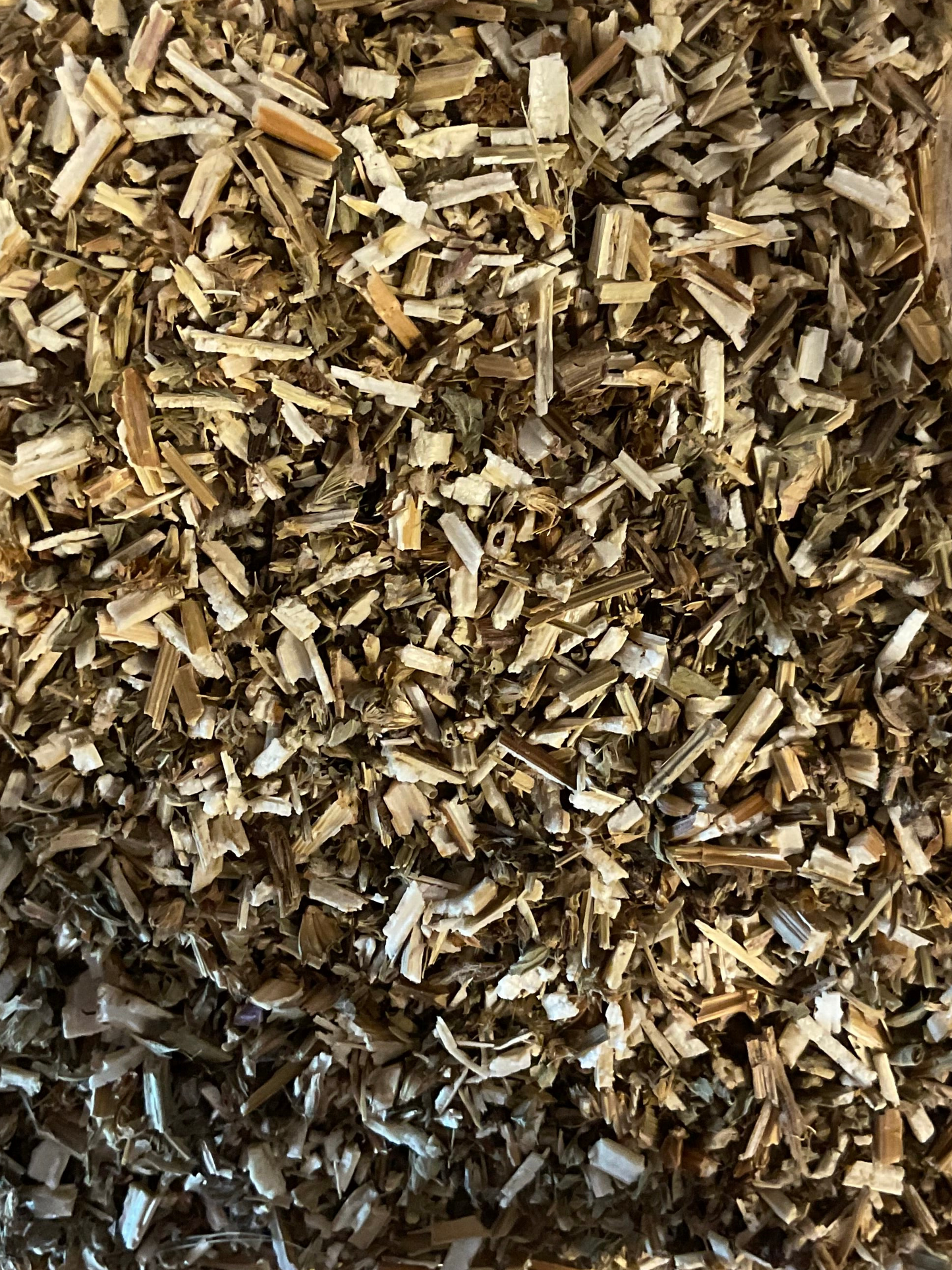 Motherwort