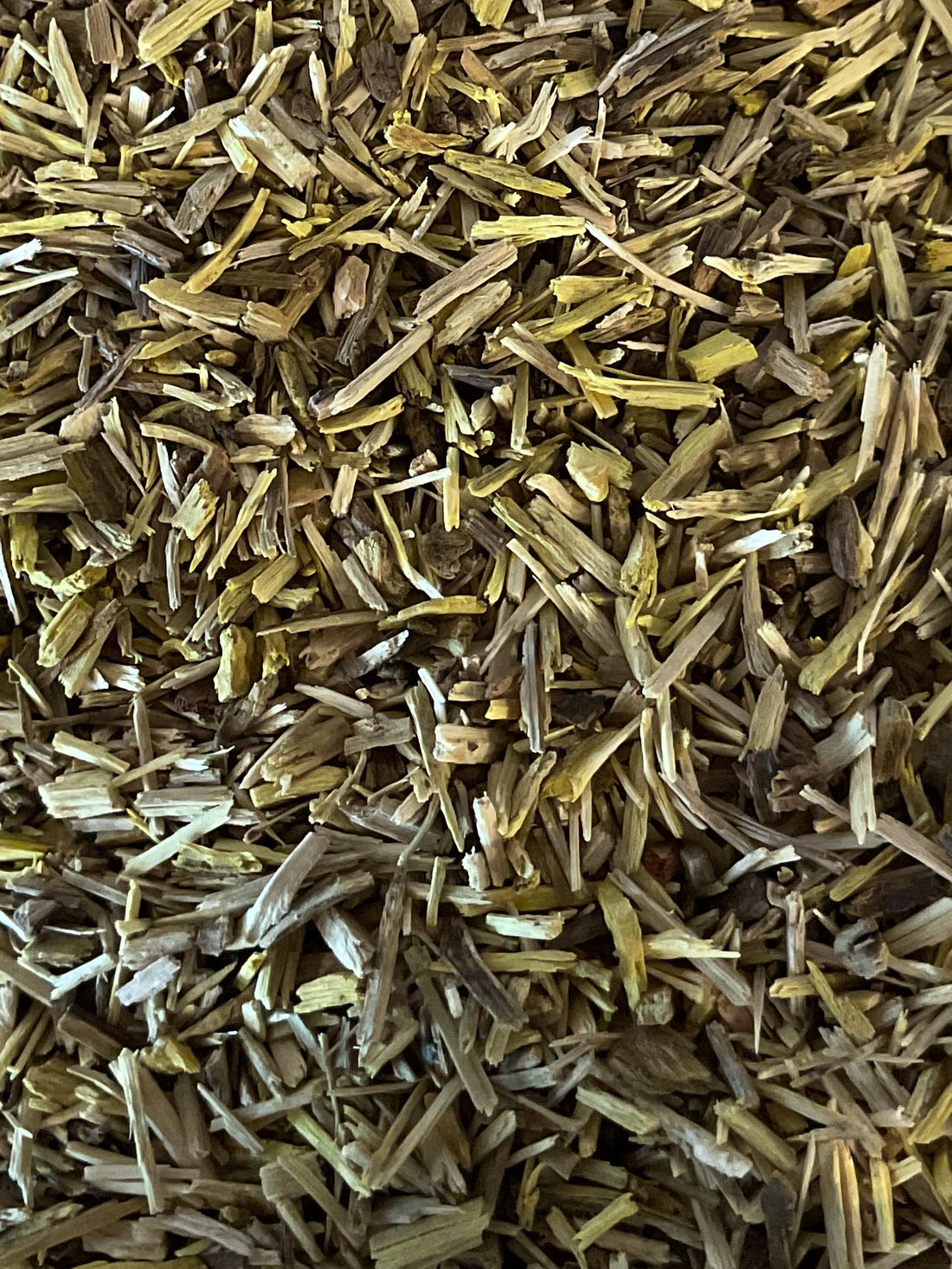 Barberry Root Bark – Geechee Girl Apothecary