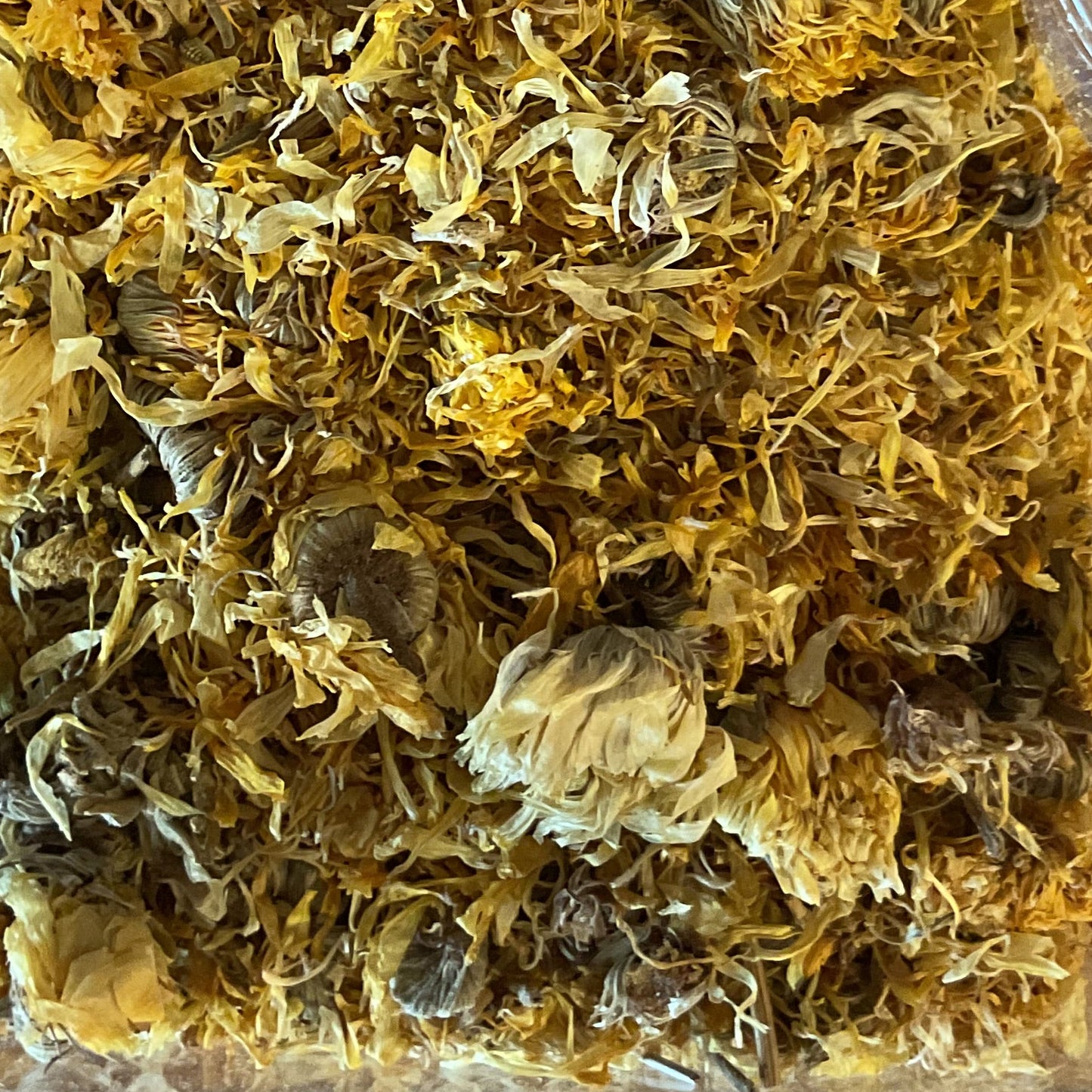 Whole Calendula Flower