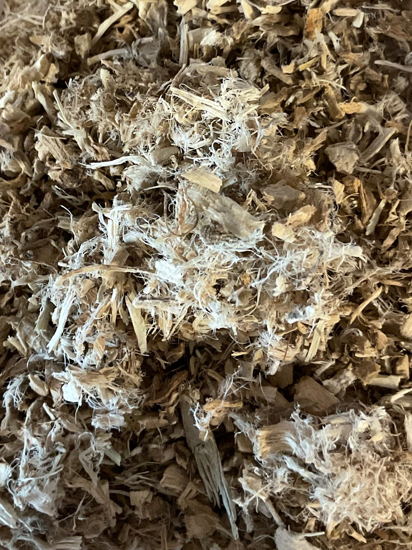 Marshmallow Root