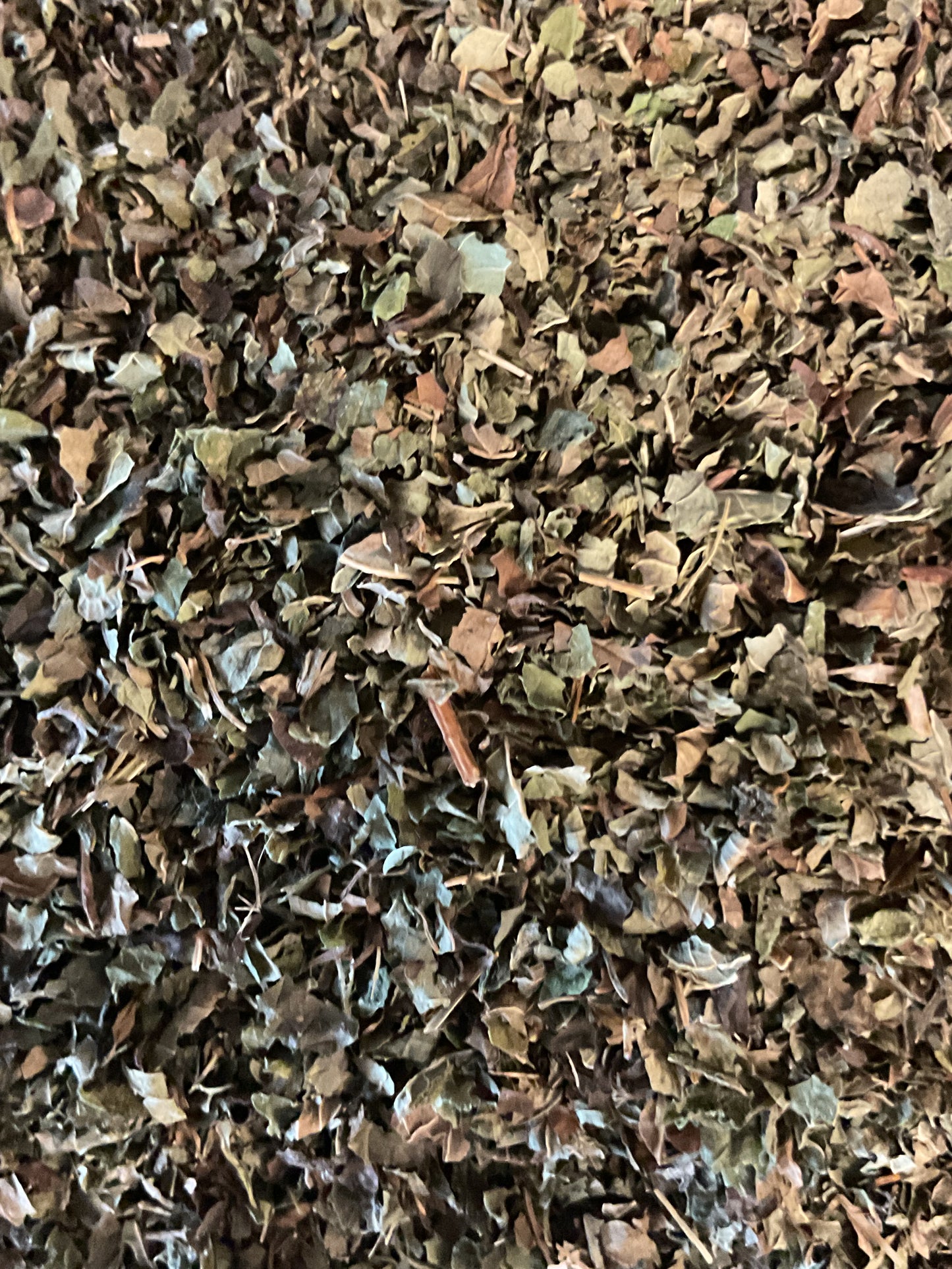 Lemon Balm Leaf