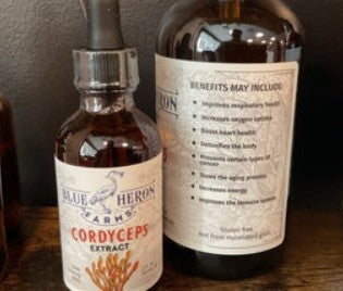 Cordyceps Tincture
