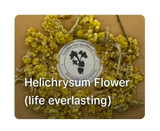 Helichrysum Flower (life everlasting)