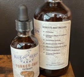 Turkey Tail Mushroom Tincture